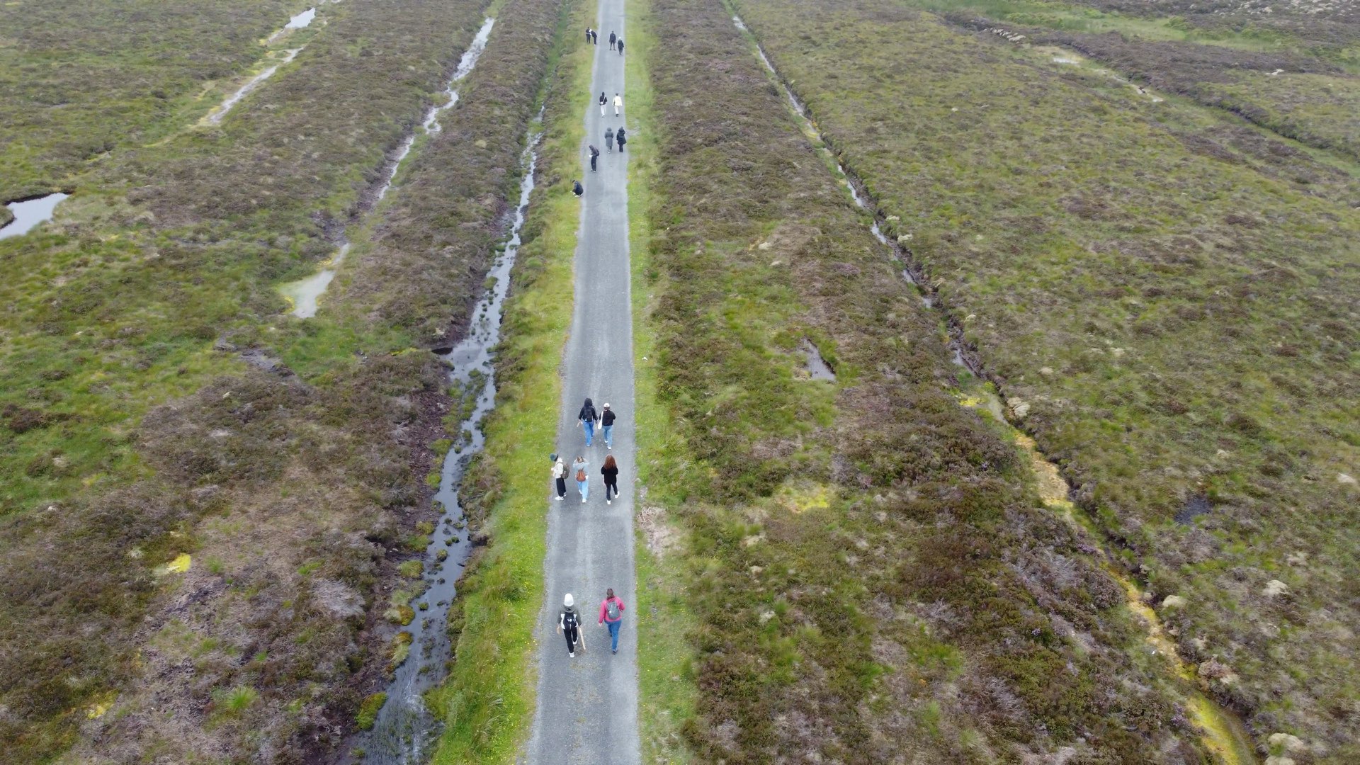 Group at Liffey Head Bog